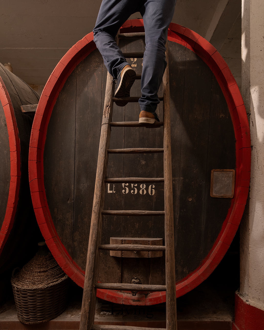 The 450 m² historic cellar of Tenuta Bonisolo with century-old barrels 7