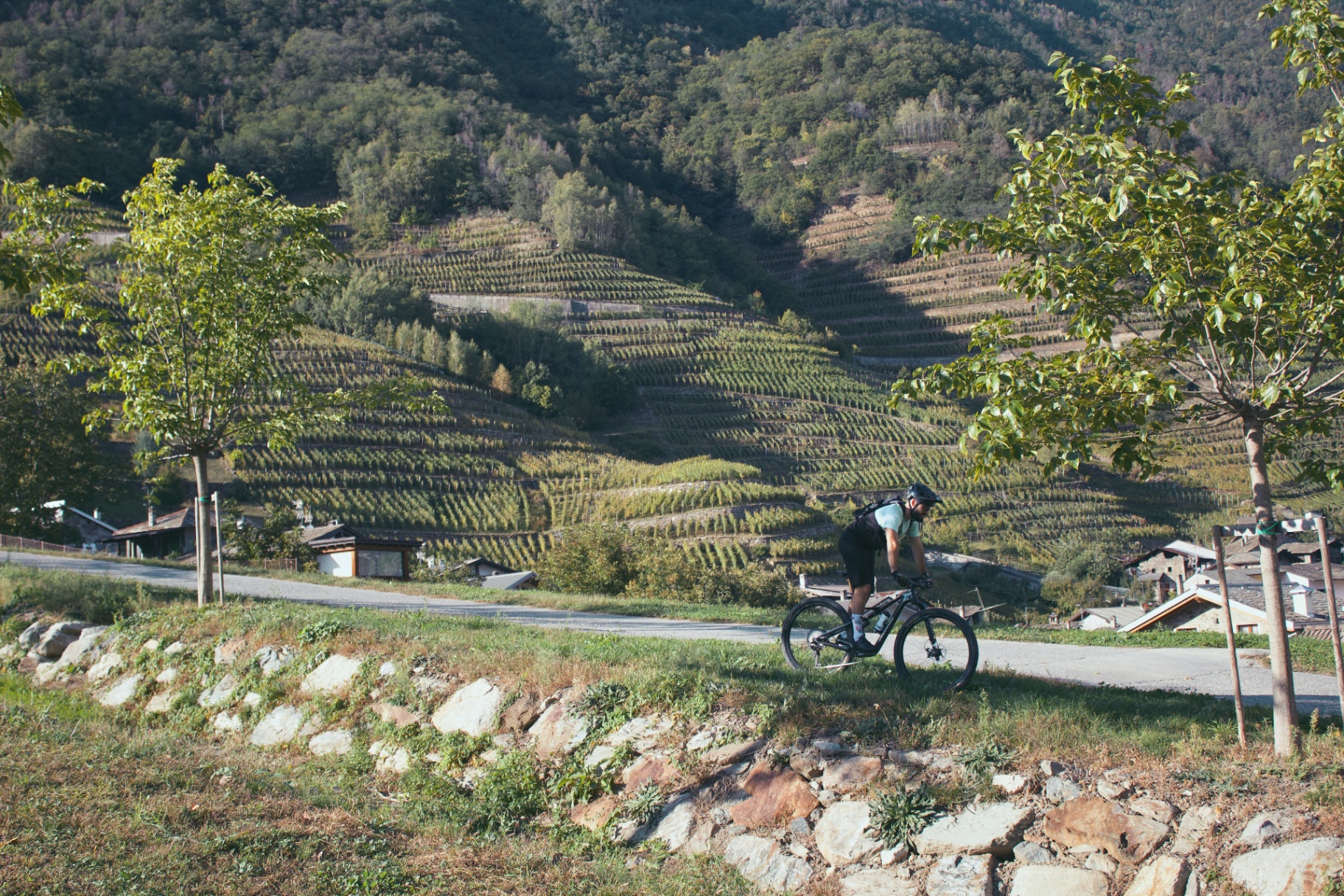 Pic-nic in bicicletta tra i vigneti